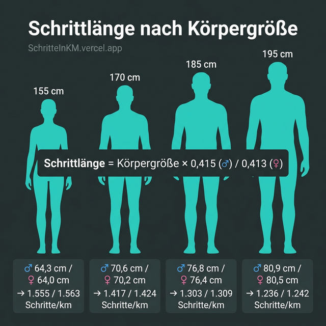 Infografik: Schrittlänge nach Körpergröße – Vergleich von 155 cm bis 195 cm für Männer und Frauen mit Schritte pro Kilometer